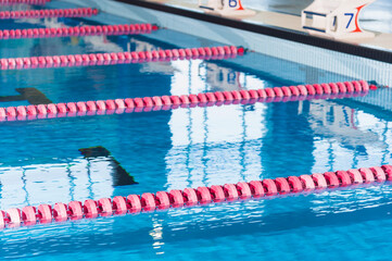 Obraz premium Swimming lanes in the Olympic pool. Indoor swimming pool.