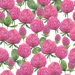 Bright red clover from wild fields painted by hand. Seamless watercolor colorful background perfect for fabric, wallpaper or decorative paper.