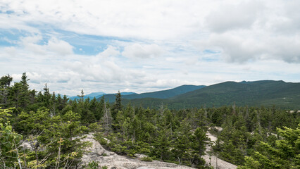 View of White Mountain national forest. Mountain range on a sunny day with trees in foreground