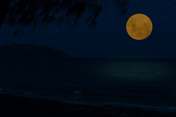 Full moon on sky over sea at night.
