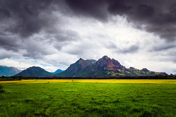 Beautiful landscape growing Paddy rice field with mountain and blue sky background in Nagercoil. Tamil Nadu, South India.