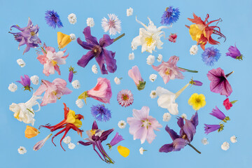 Obraz na płótnie Canvas flowers sky mirror flatlay