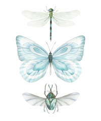 Watercolor set of flying  dragonfly, beetle and l blue butterfly. Hand drawn isolated illustration on white background.