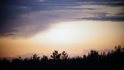 Fototapeta premium sunset in the field
