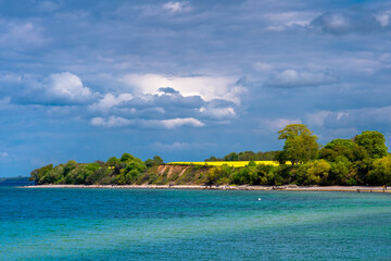 Frühling an der Ostsee am Timmendorfer Strand mit einem blühendem Rapsfeld in den Dünen