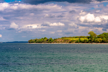 Frühling an der Ostsee am Timmendorfer Strand mit einem blühendem Rapsfeld in den Dünen