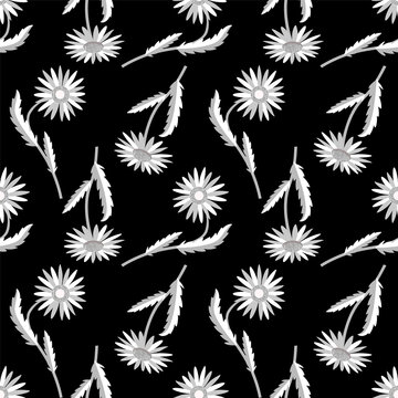 Camomile flowers seamless pattern, vector graphic.