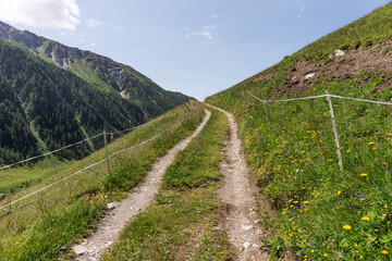 Alpine small mountain road and hiking trail path in the alps