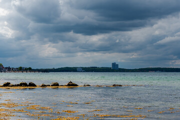 Fr&uuml;hling an der Ostsee am Timmendorfer Strand mit einem bl&uuml;hendem Rapsfeld in den D&uuml;nen