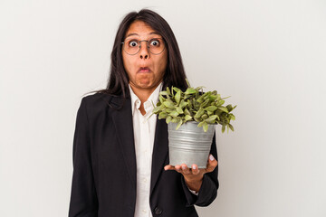 Young business latin woman holding plants isolated on white background shrugs shoulders and open...