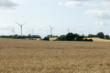 Windräder am Feld
