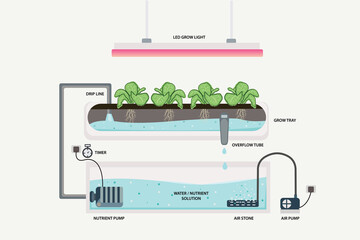 hydroponics system infographic horticulture agriculture