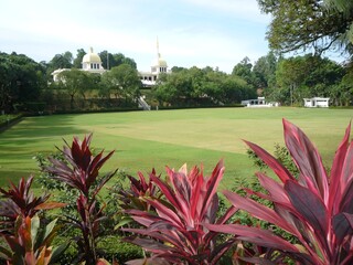 Beautiful view of the  garden