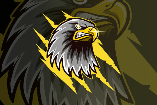 head eagle mascot esport logo hand drawing