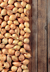 Onion on a old wooden table.