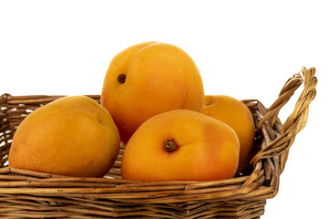 basket with apricots