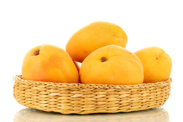 basket with apricots