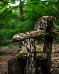 Old bench in the forest