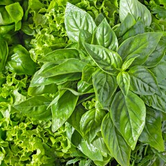A bouquet of various garden aromatic herbs, herbs and spices in a wicker basket for cooking, aromatherapy.