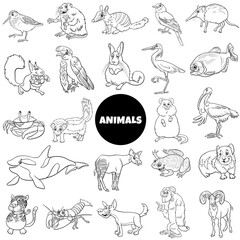 black and white cartoon wild animal characters big set