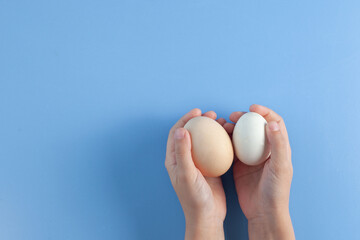White and brown egg in children's hands. Hands lie on a blue background. Top view