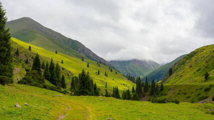 Tekes river mountain valley. Traditional Kazkakh agricultural area. Summer pastures and horse...