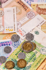Fototapeta na wymiar Moldovan leu. MDL banknotes and coins