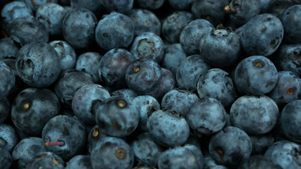 Blueberries over all background. Top view