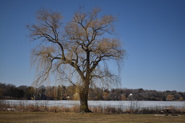 Lake McCarrons in Very Early Spring