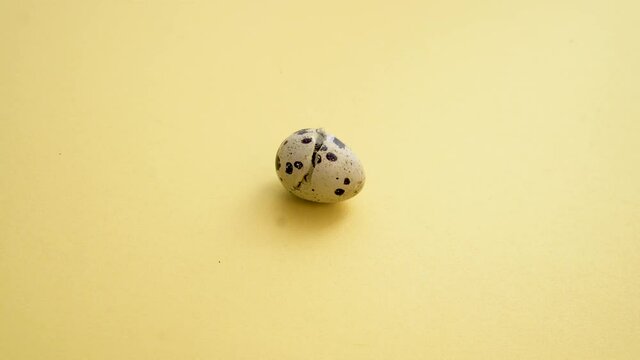 Newborn quail egg on yellow background. Chick hatching out its egg, breaks the shell. The birth of a new little life.