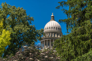 State Capitol dome in Boise, Idaho framed by trees.