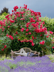 Dziewczyna odpoczywająca na ławeczce w parku pełnym pachnących kwiatów róż i lawendy