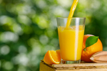 cold freshly squeezed orange juice pouring into glass