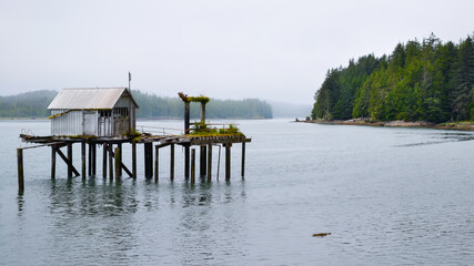 Canadian landscapes foggy water front and abandoned creepy shack background. North Pacific Cannery...