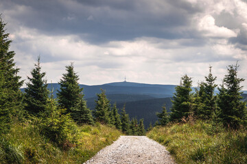 Hiking trail in Jeseniky mountains with view at Praded mountain peak. Footpath in forest in natural...