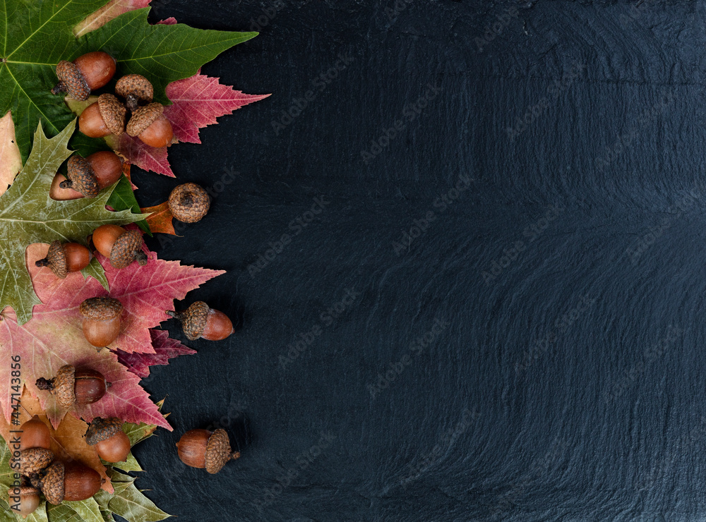 Poster Autumn decoration with rustic leaves and acorns on dark stone