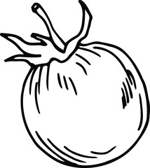 Tomato doodle. An isolated object on a white background. Black-and-white hand-drawn illustration.