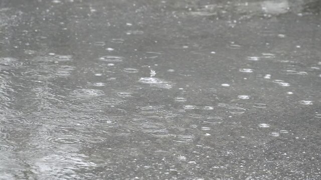 Rain water drops falling into puddle on asphalt. Raindrops falling down into road. Road floods due to the heavy rain. Flooding the street  in wet season, slow motion, close up