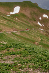 Panoramic View - Train from Rothorn to Brienz - Brienz-Rothorn bahn is a cogwheel narrow gauge...