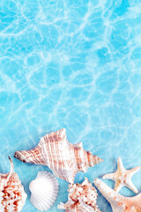 Obraz na płótnie Canvas Seashells on the summer beach in sea water. Summer background. Summer time