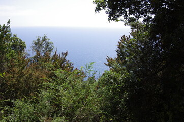 Cinque Terre Liguria Italy