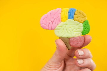 Miniature model of human brain. Head brain symbolizes intelligence. Hand with mock brain on yellow background. Place for text about intelligence. Metaphor for studying central nervous system