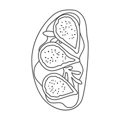 Sandwich vector icon.Outline vector icon isolated on white background sandwich.