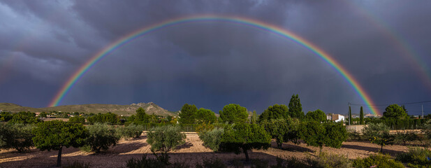 Fototapeta na wymiar rainbow over mountain-rainbow landscape over a mountain with gray sky