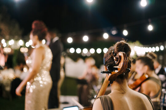 Musicians are playing at the wedding. Back view