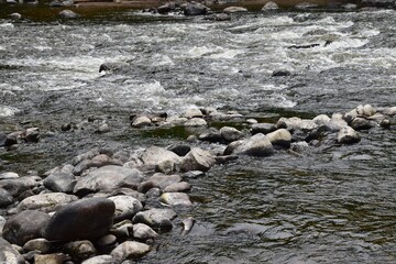 Chute Ste-Ursule in southern Quebec 