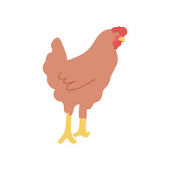 Flat vector hen illustration in simple style. Farm life spot illustration - 447150613