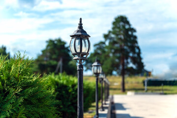 A series of dirty lights near the sidewalk against the background of greenery.