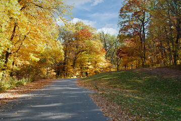This is a road in autumn, curving around colorful trees.