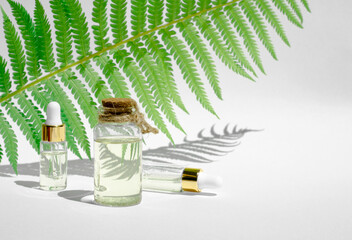 Essential oils in transparent bottles on a white background with a palm branch and shadows, copy space